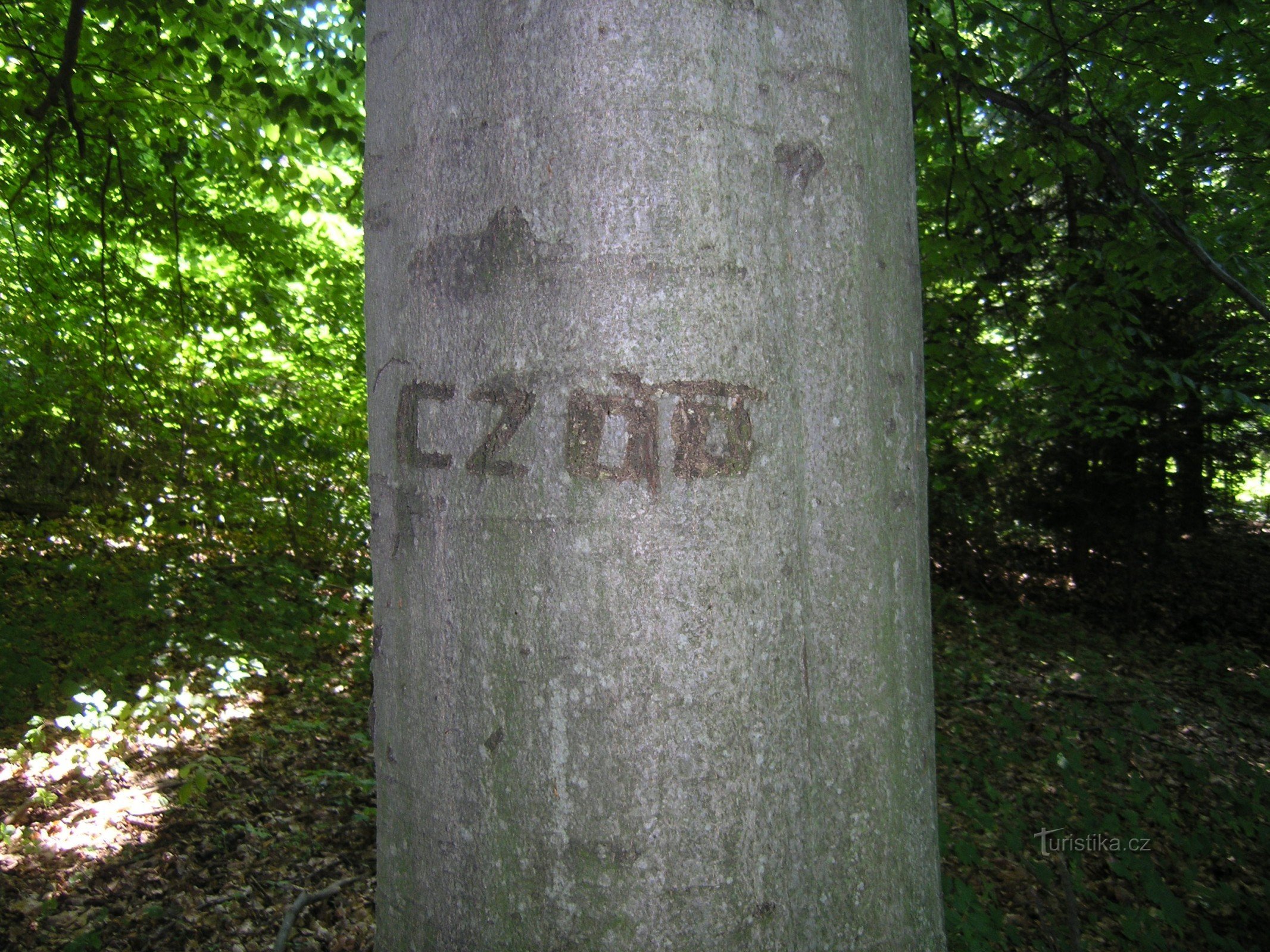 Quête de la face cachée de Muna