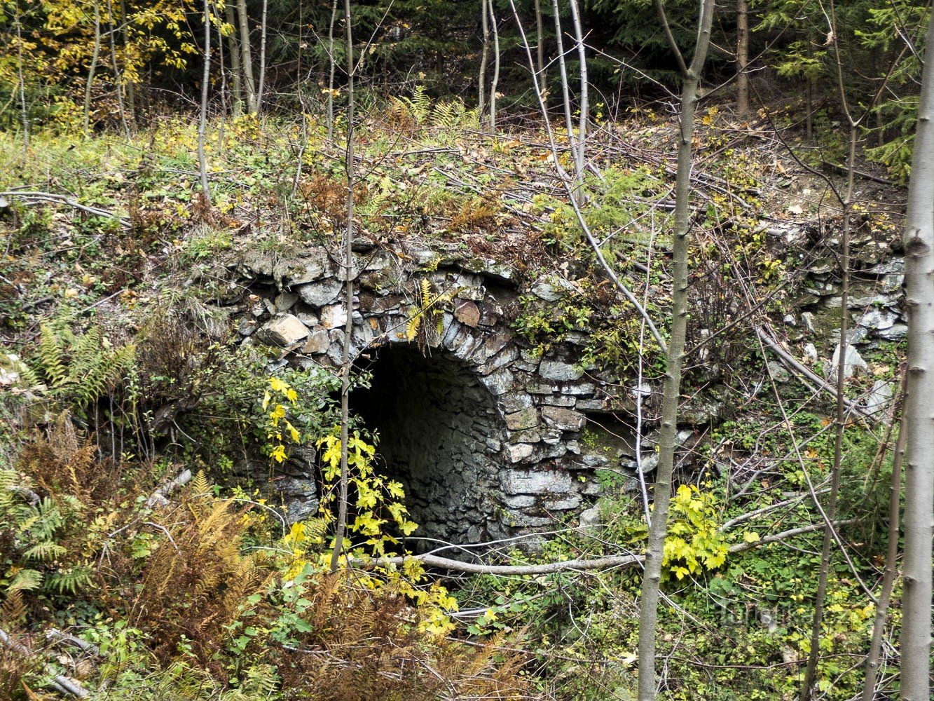 Rabl, un pomeriggio di ottobre