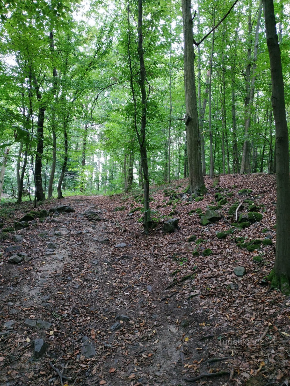 Rabyně hovedhavn - Pexův luh- Teletín - Lookout Máj