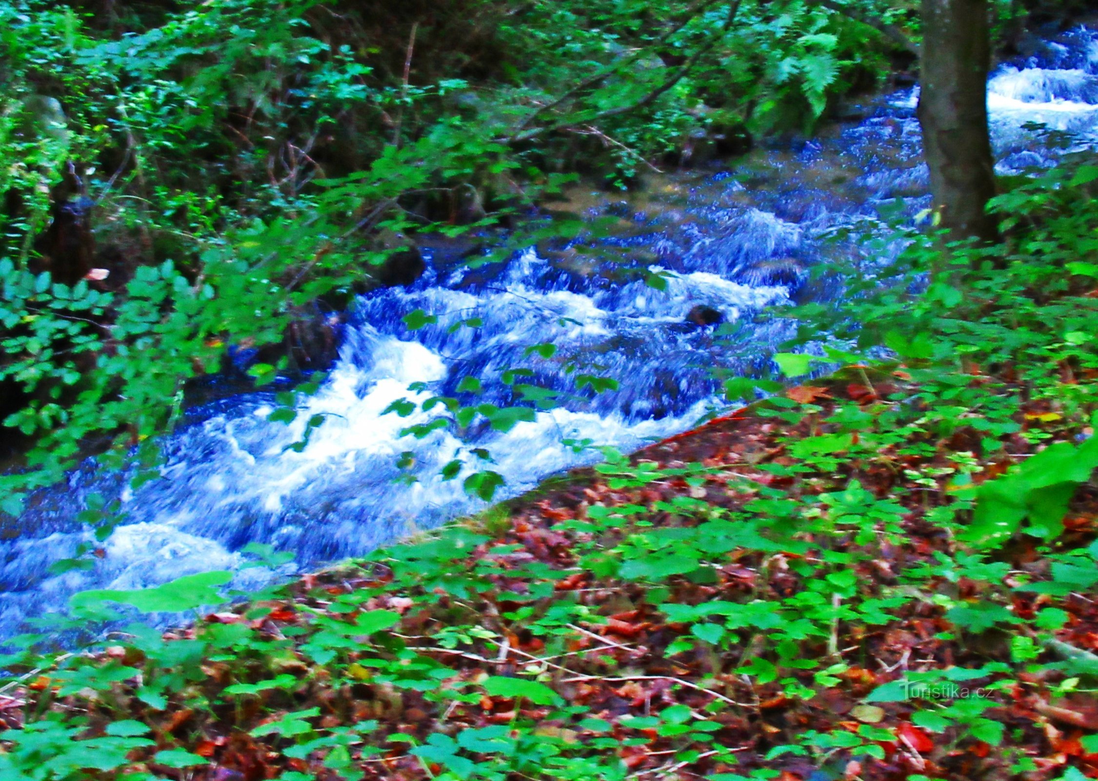 Valle del cangrejo de río