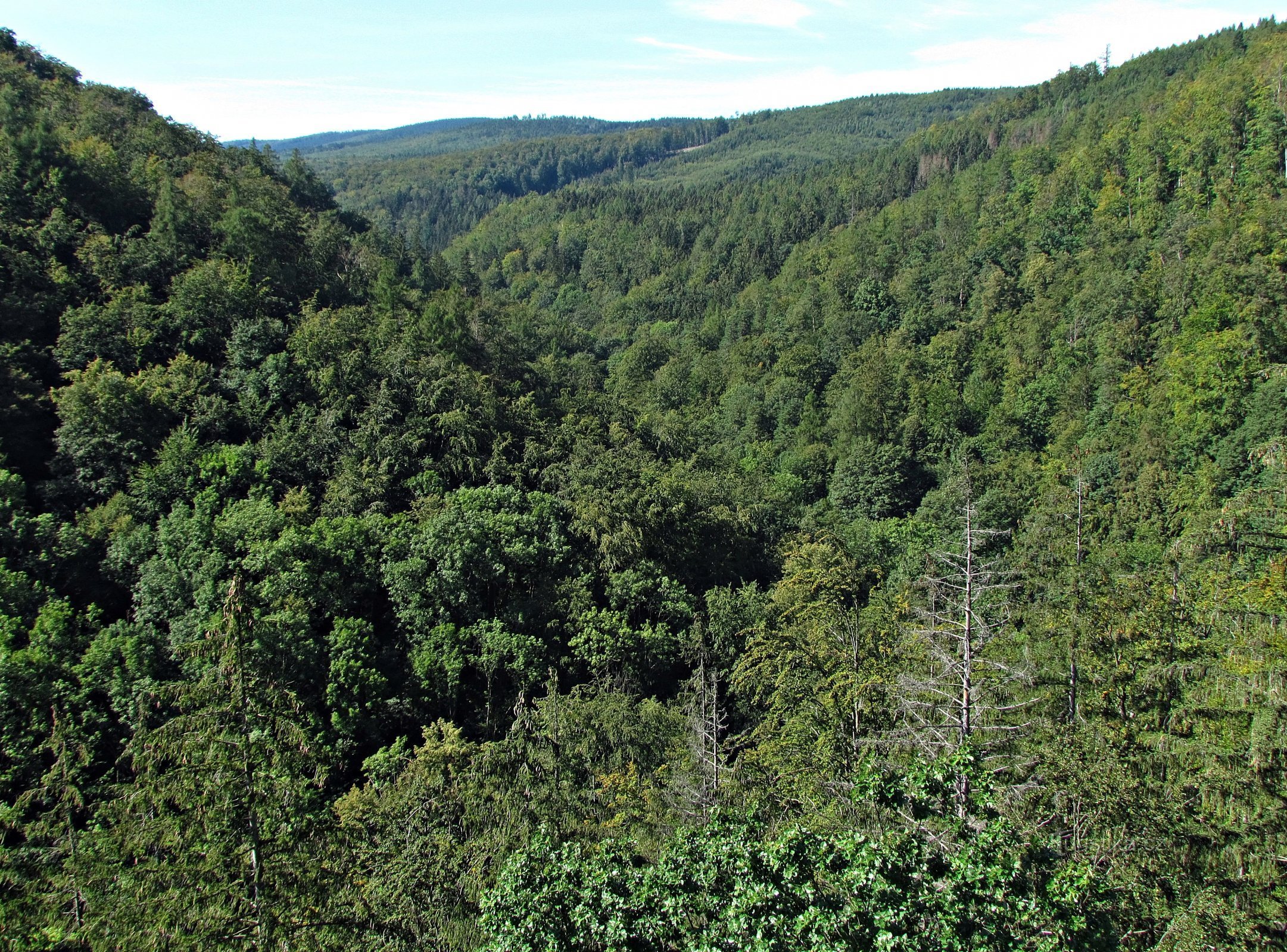 Crayfish Valley from the Devil's Pulpit