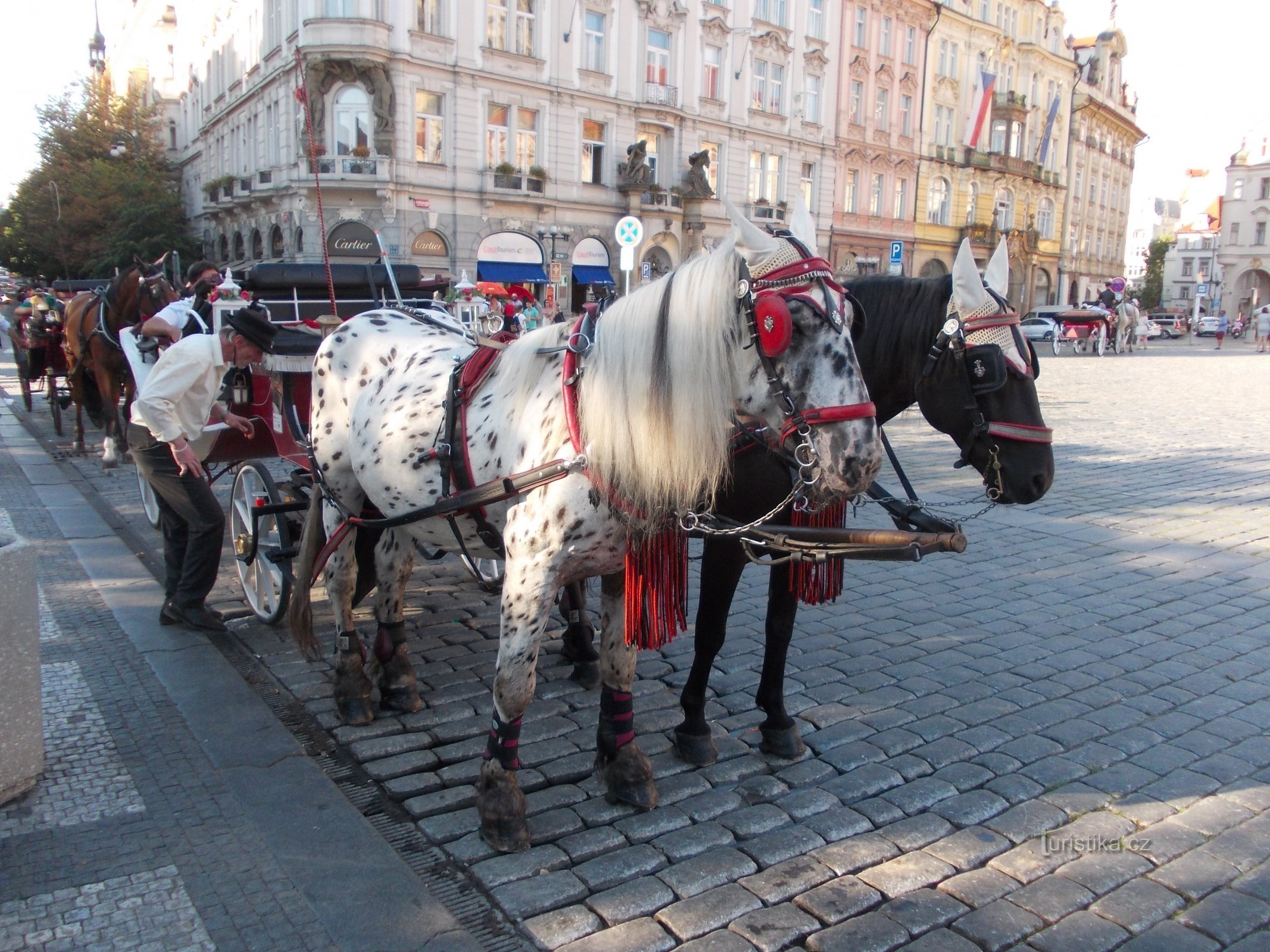 kom in och låt dig köras runt i det antika Prag