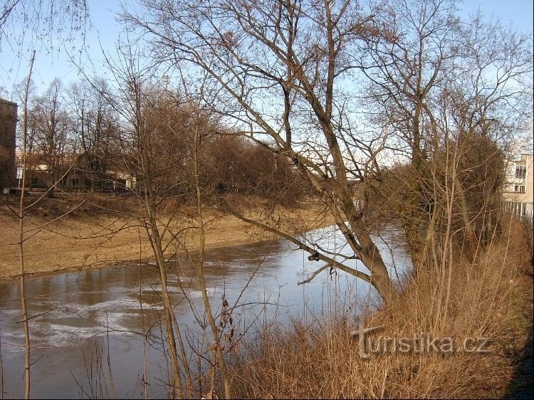 Radbuza u pivovari u Pilsenu