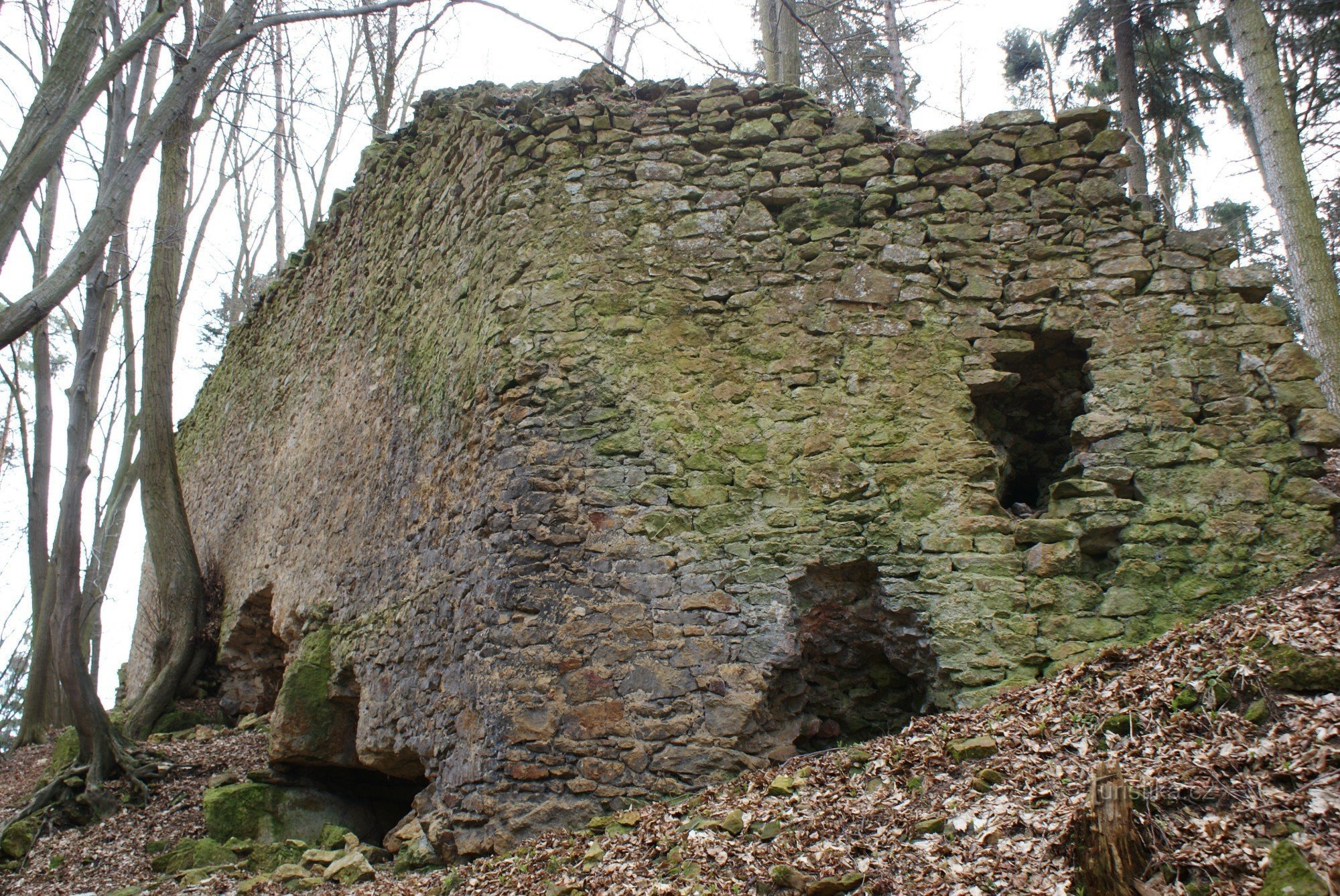 Radkov - ruinele castelului (castelul Radkov)