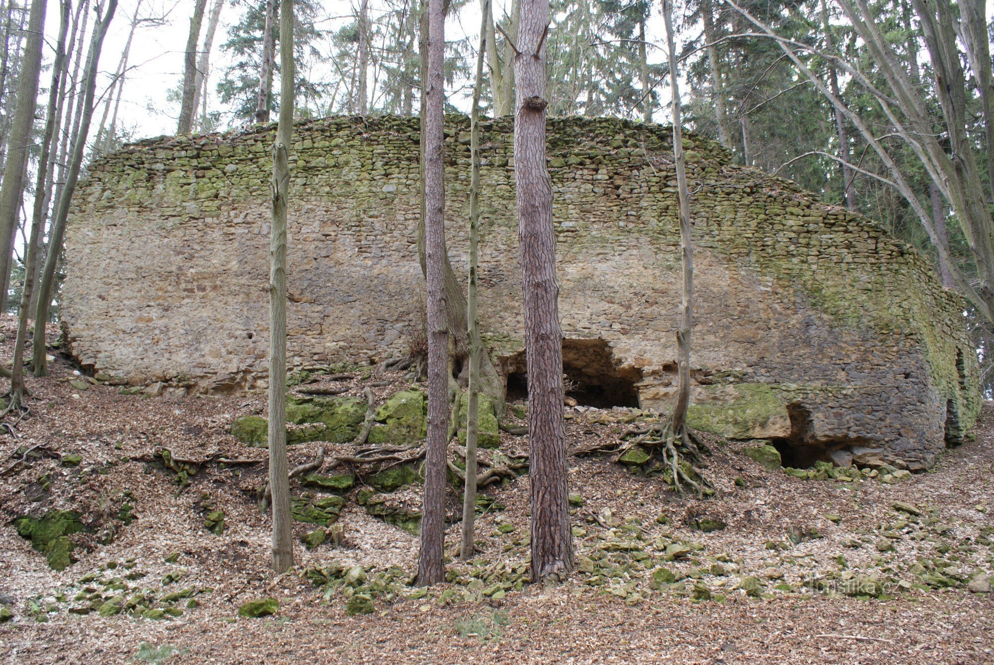 Radkov - ερείπια κάστρου (κάστρο Radkov)