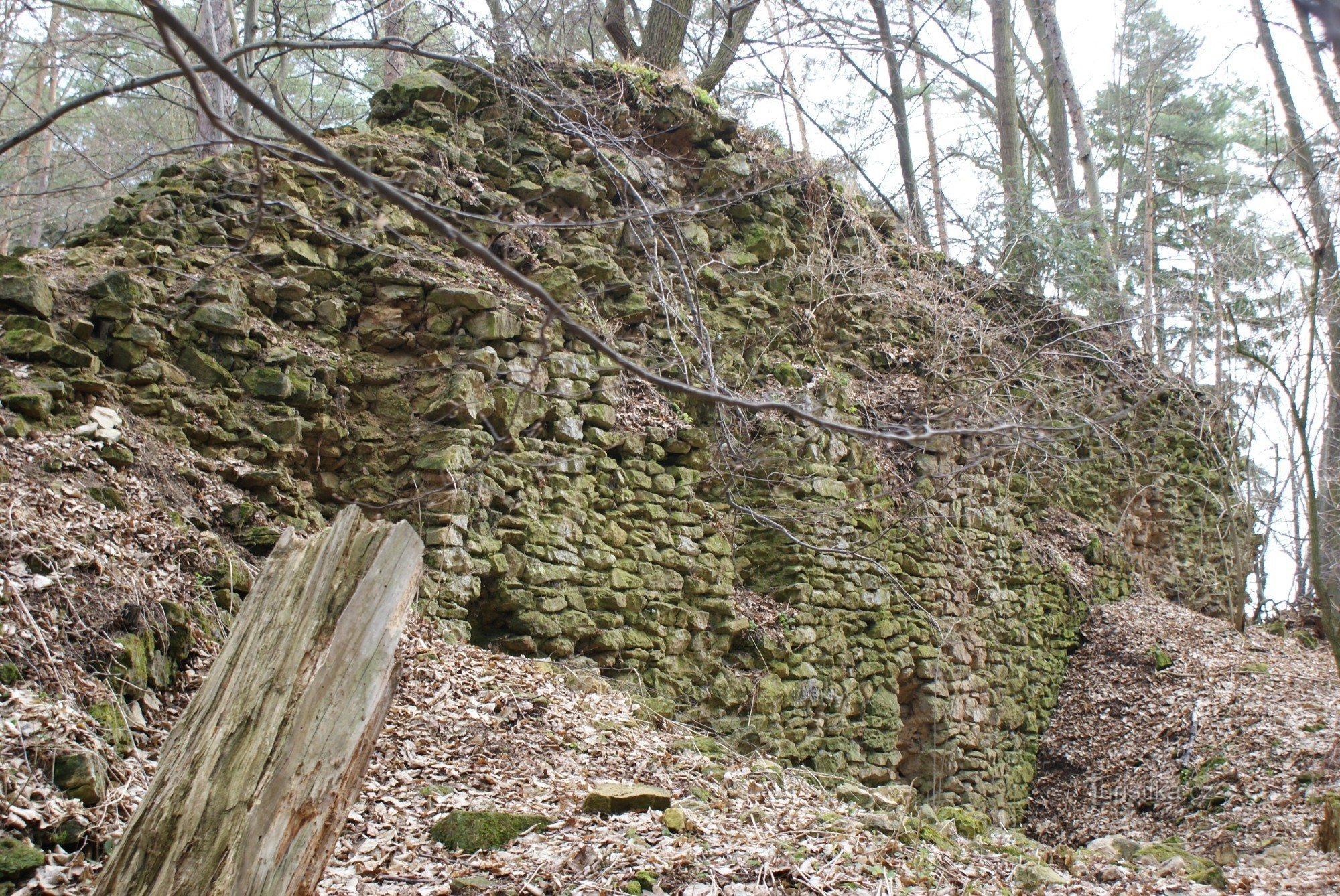 Radkov - rovine del castello (castello di Radkov)