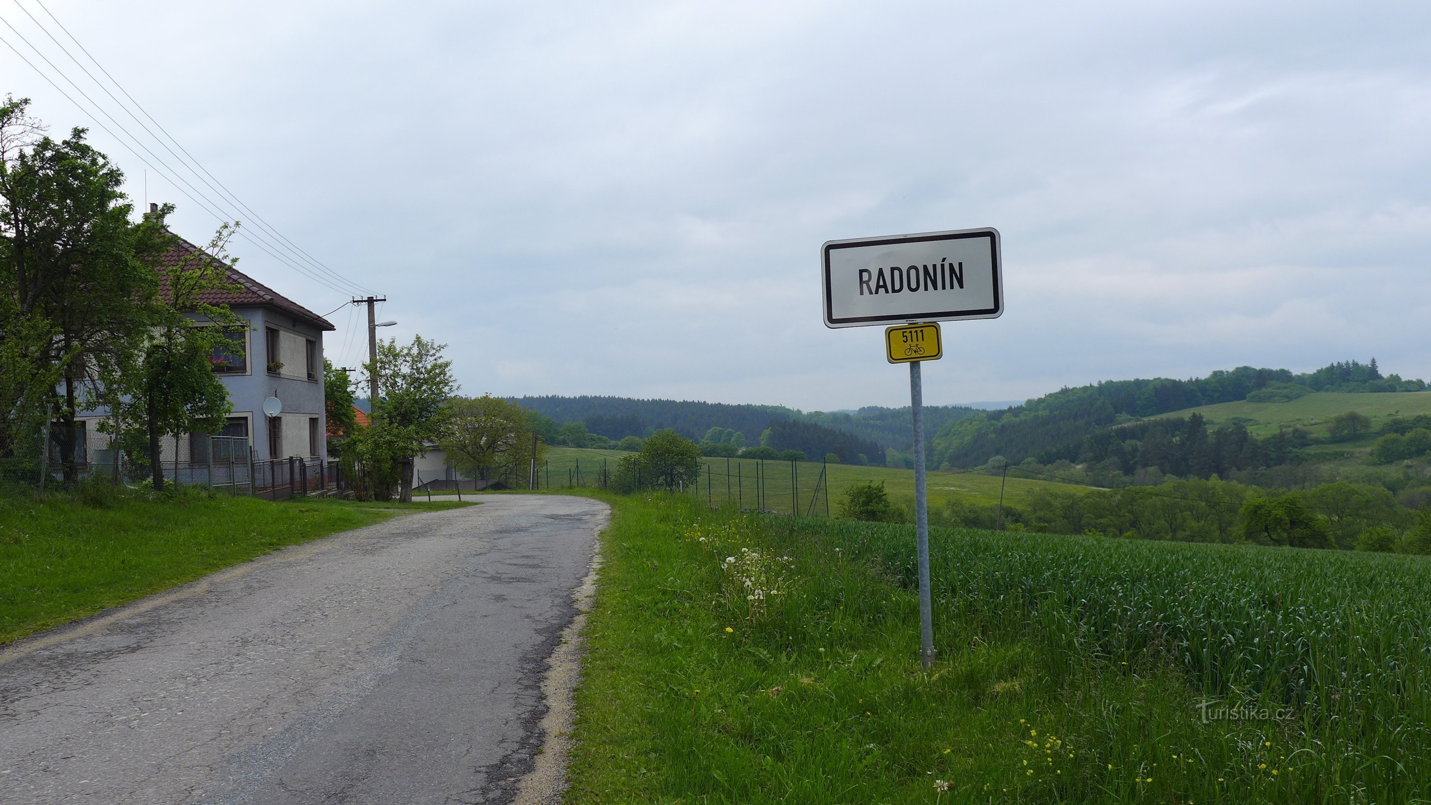 Radoniini