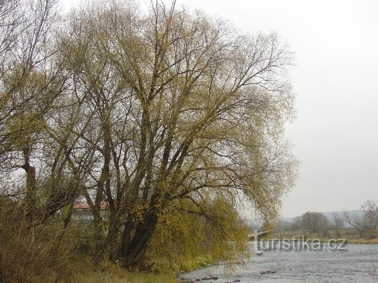 Radotín: niedaleko Berounka