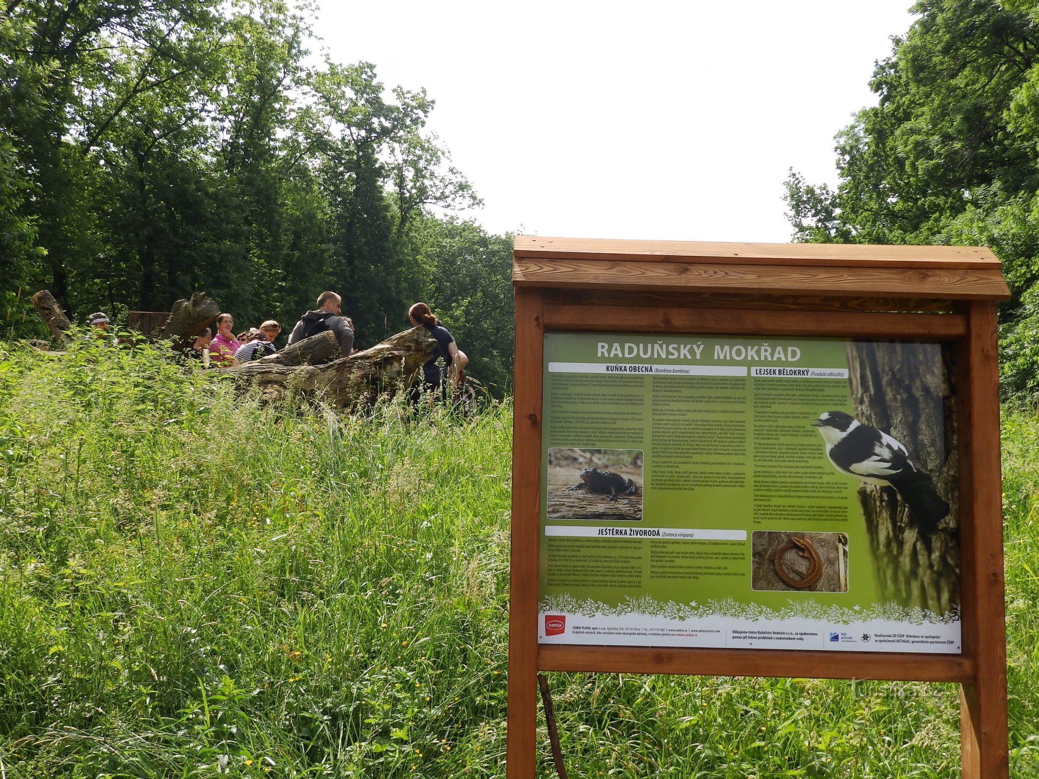 Radunský wetland (c) ČSOP