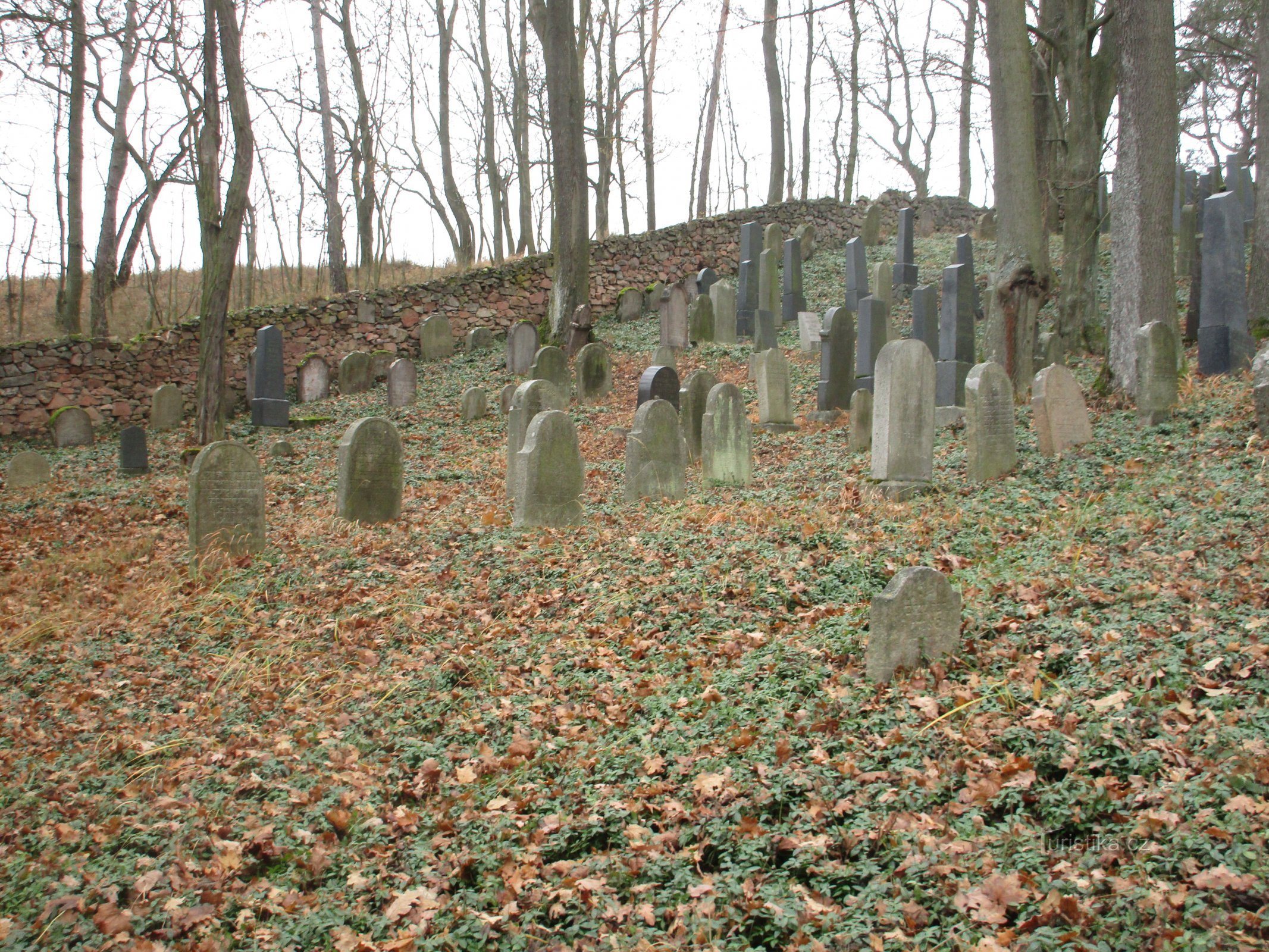 墓石の列