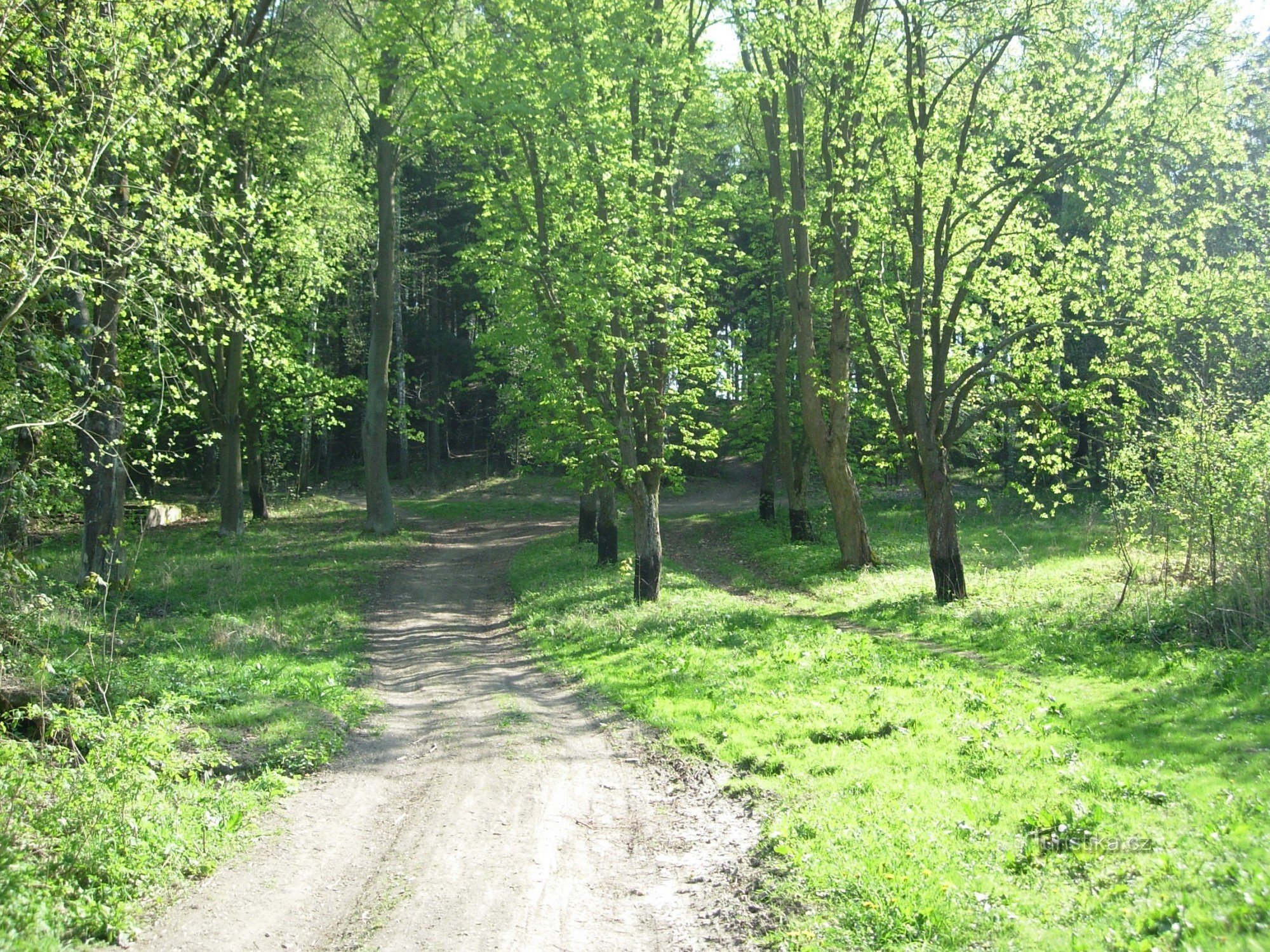 Paradijs in de buurt van Jihlava