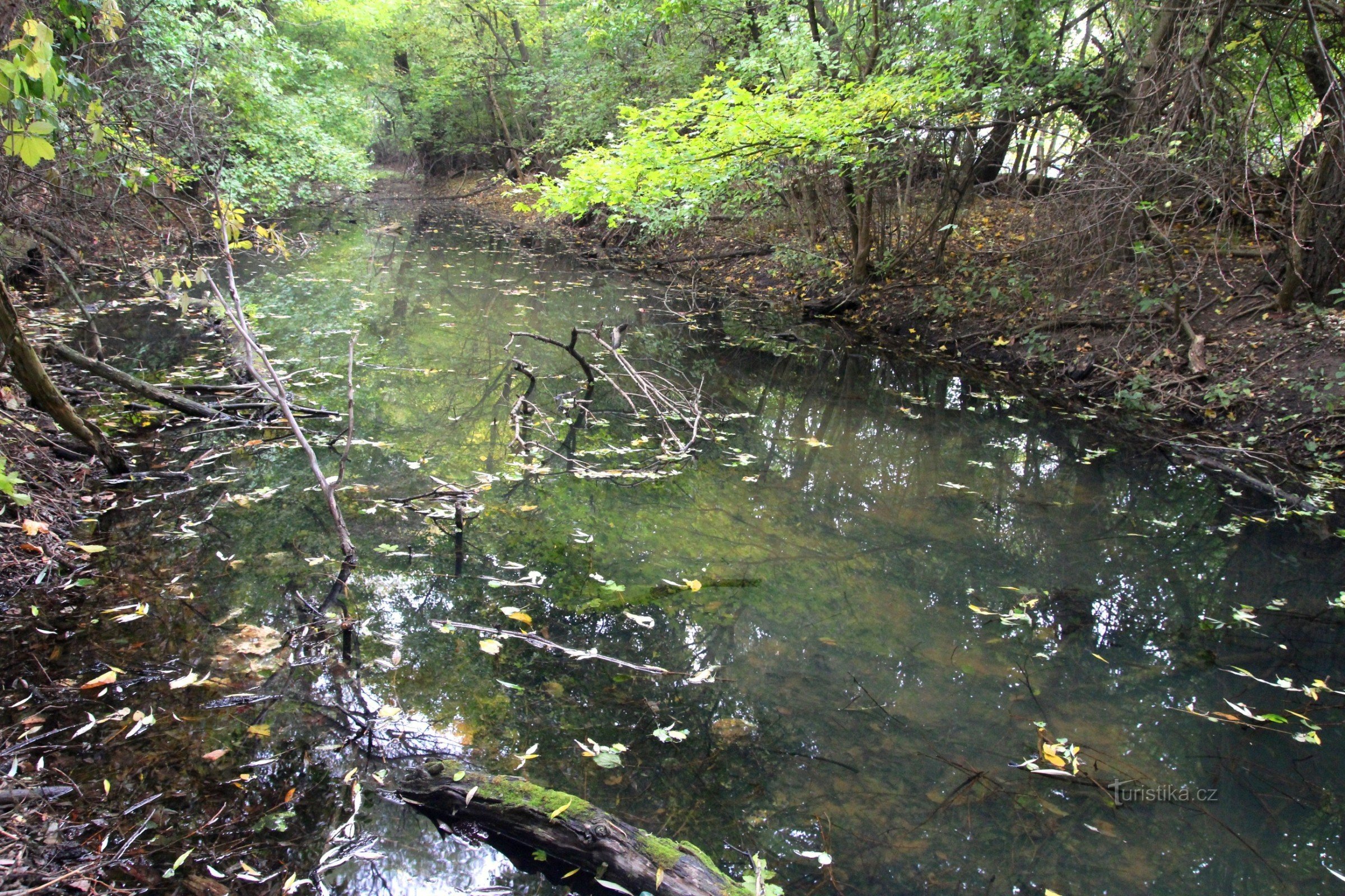 Piscina Paradisului