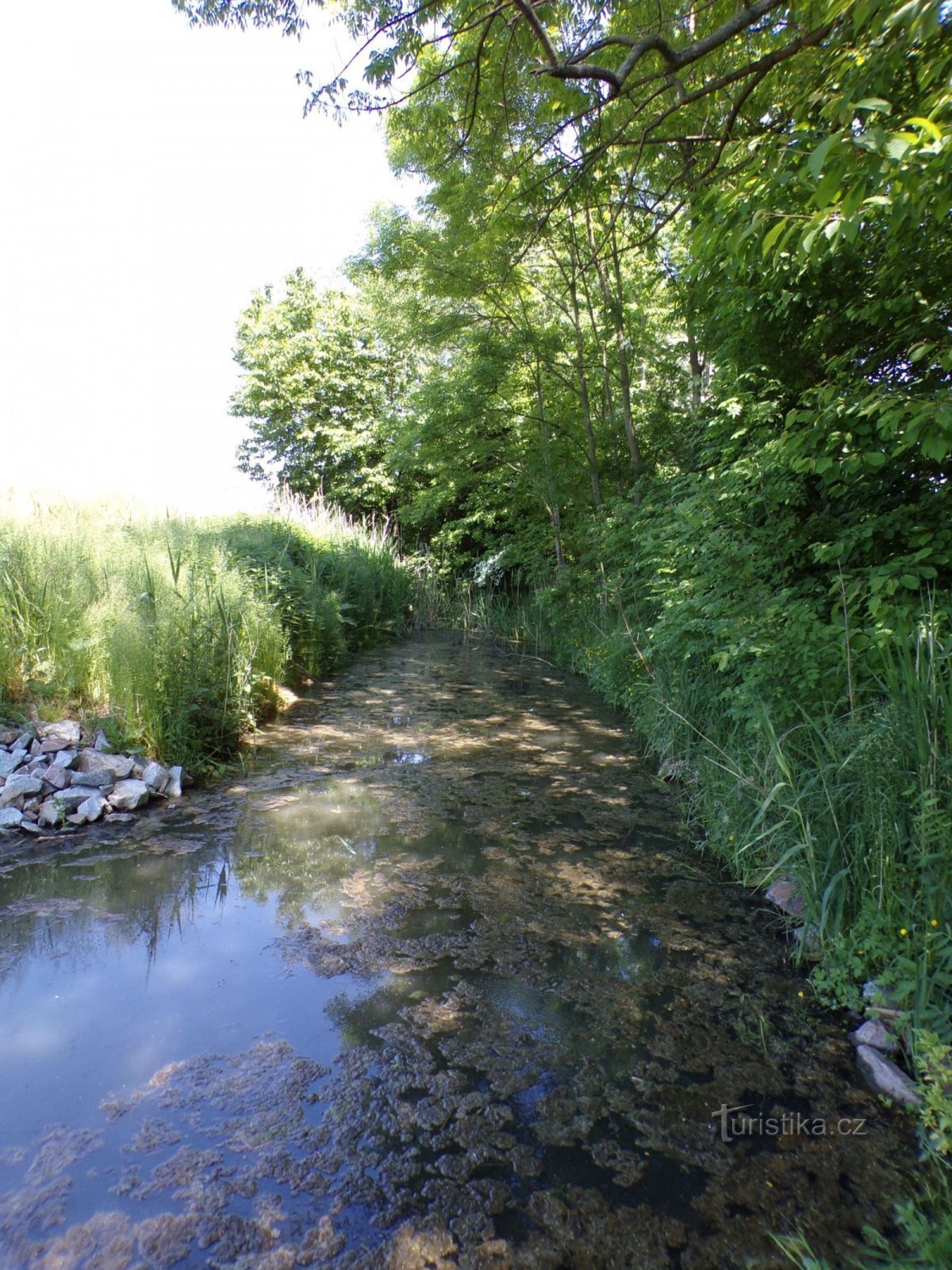 Răzătoare Paradise (Libišany, 3.6.2021)