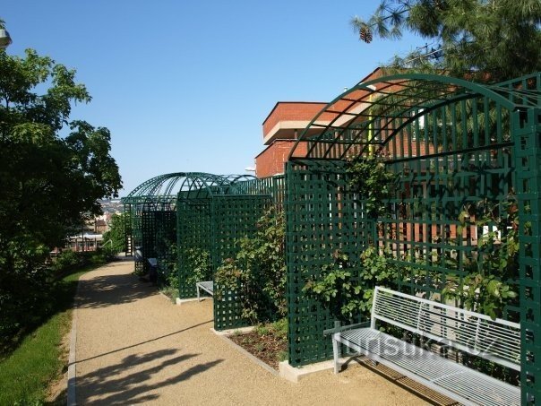 Jardin d'Eden - bancs