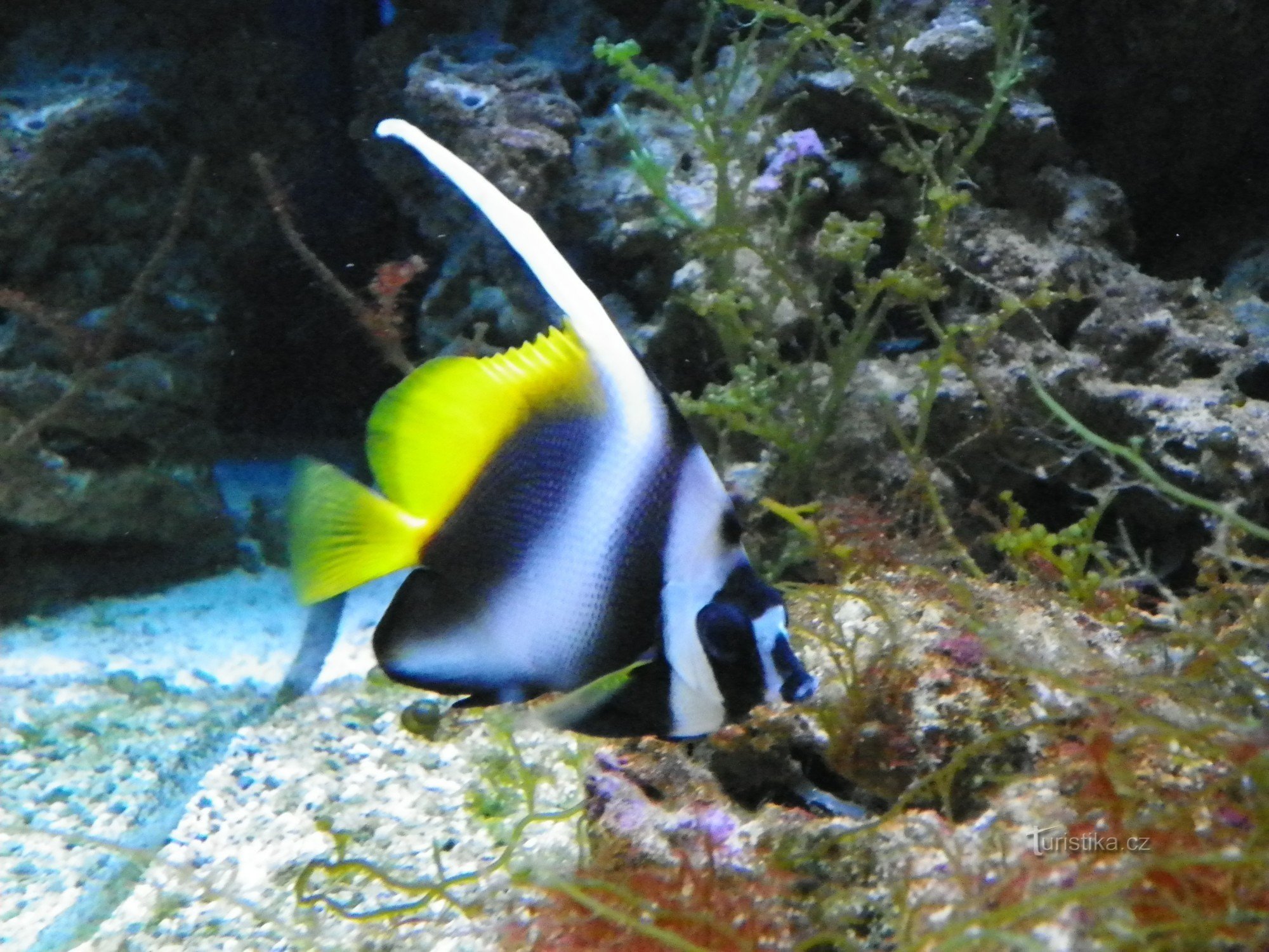 Paradiesinseln - separate Ausstellung des Zoos von Děčín