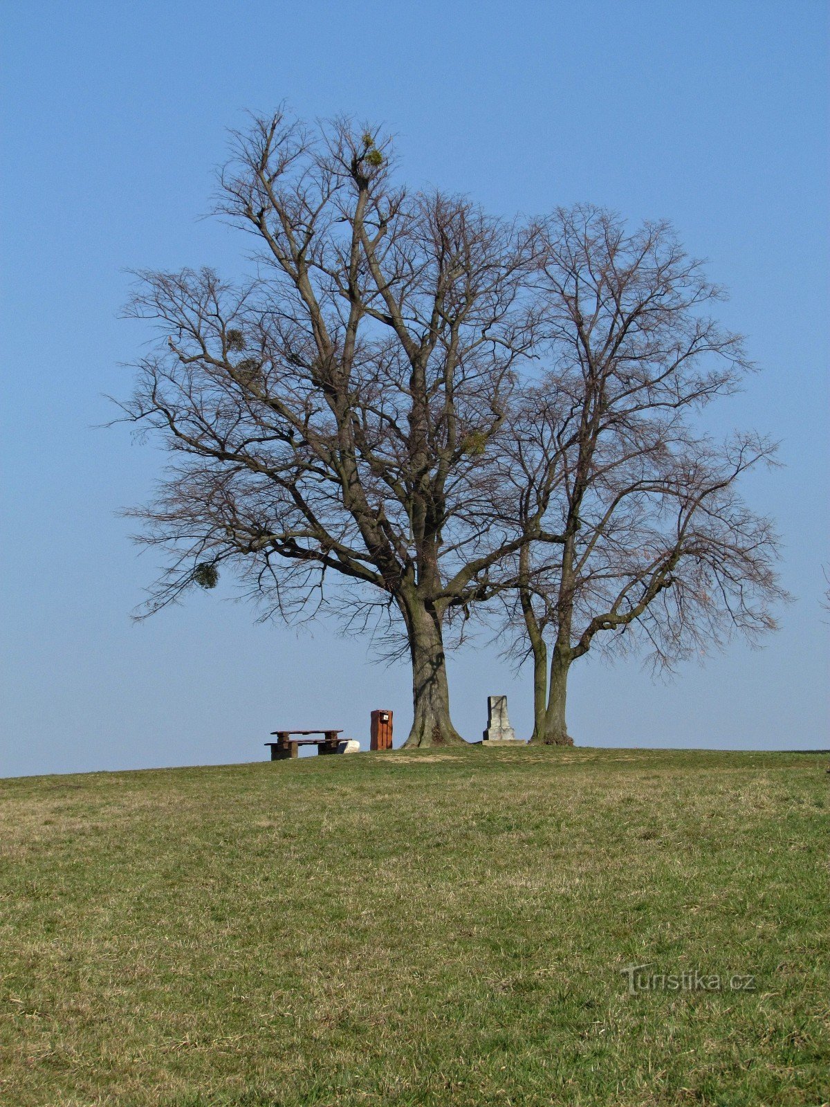 Rak - Na križu