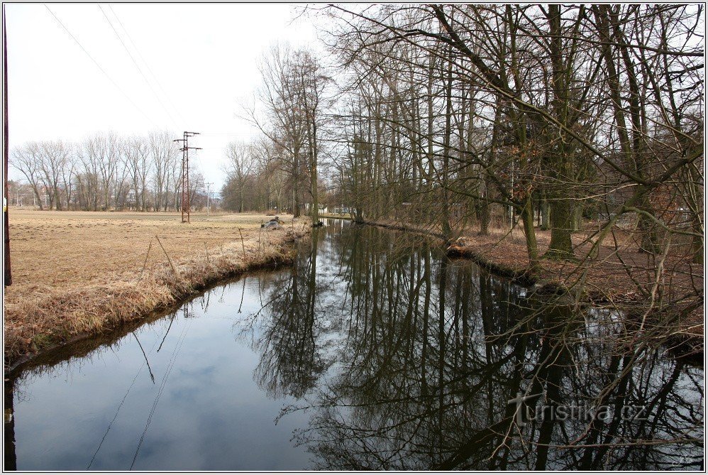 Arm of the Wild Eagle bij de wegwijzer