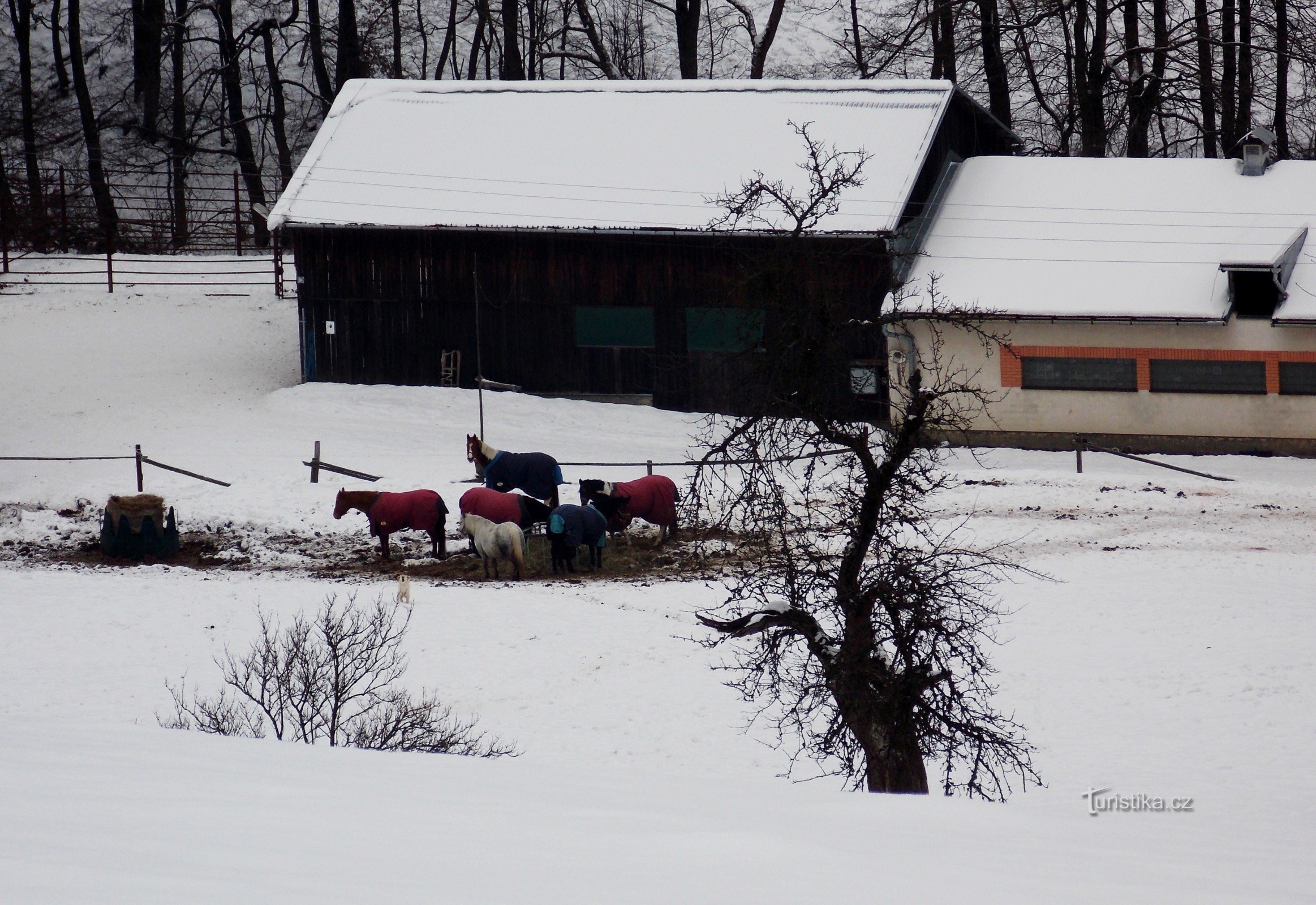 Rancho sob Vartovňů na aldeia de Jasenná