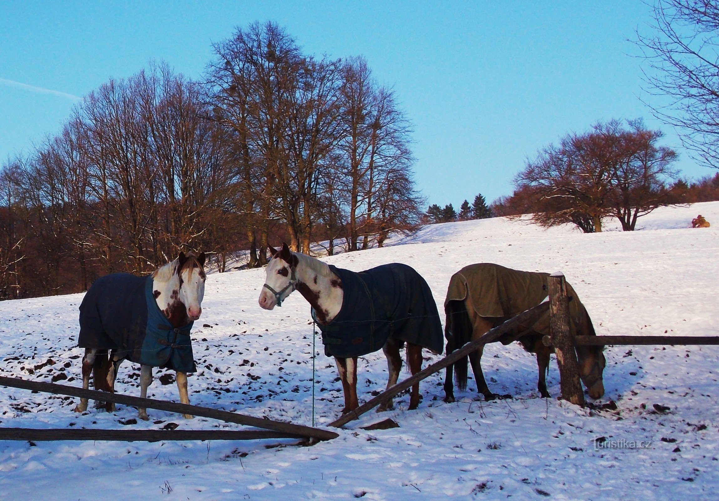 Rancho sob Vartovňů na aldeia de Jasenná