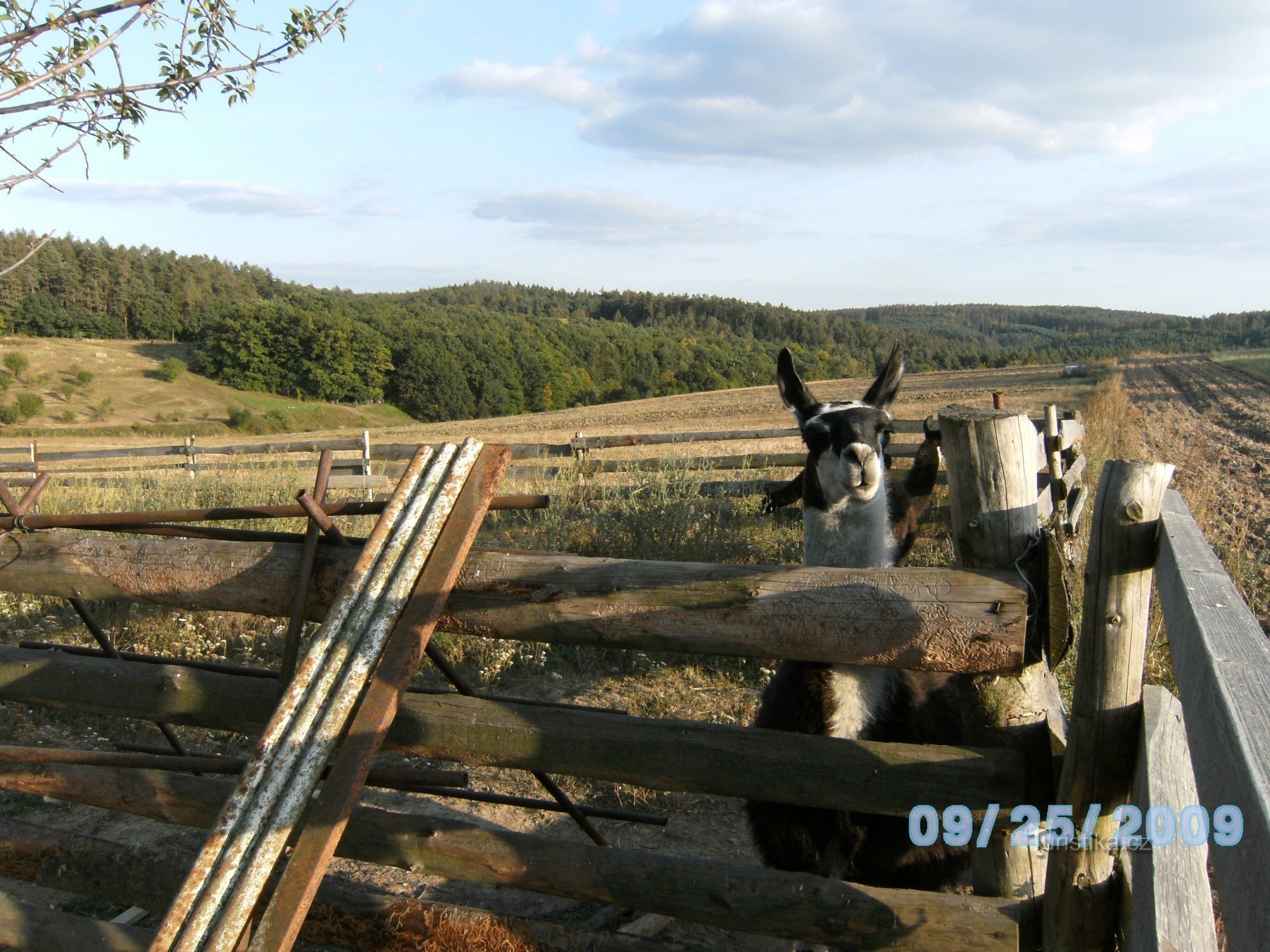 Ranch CH Oresín