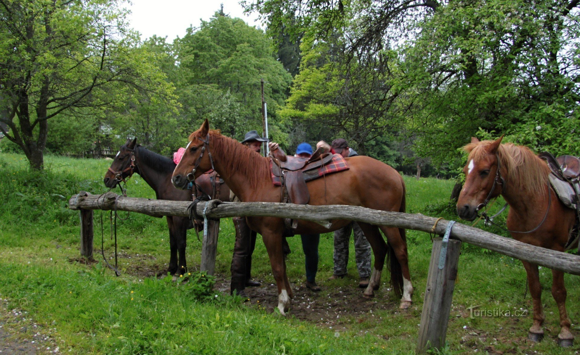 Rancho de tierra libre de Vogelsang