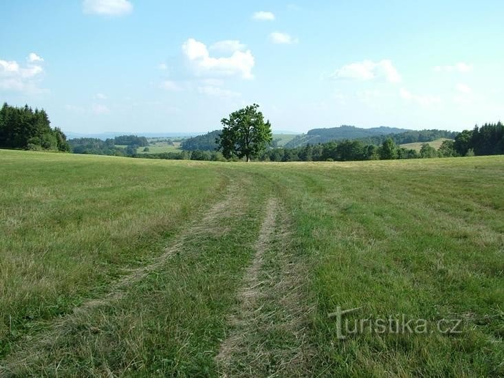 Ochtend - Morgenland