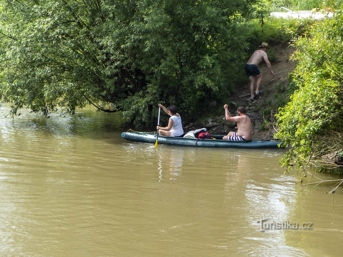 Morning canoeists