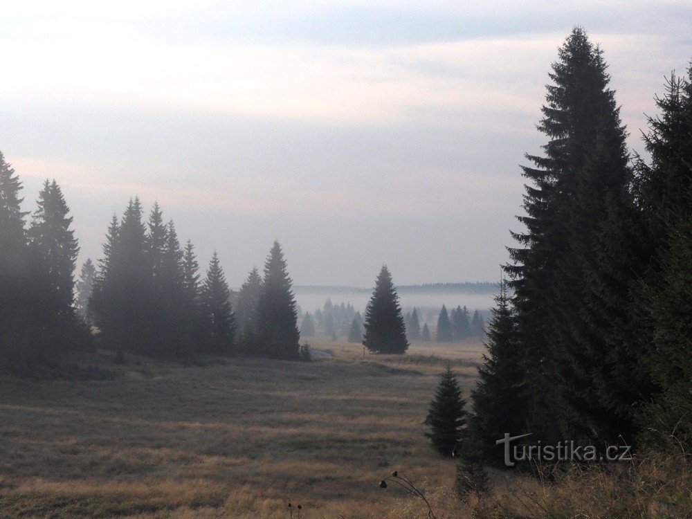 Nebbia mattutina