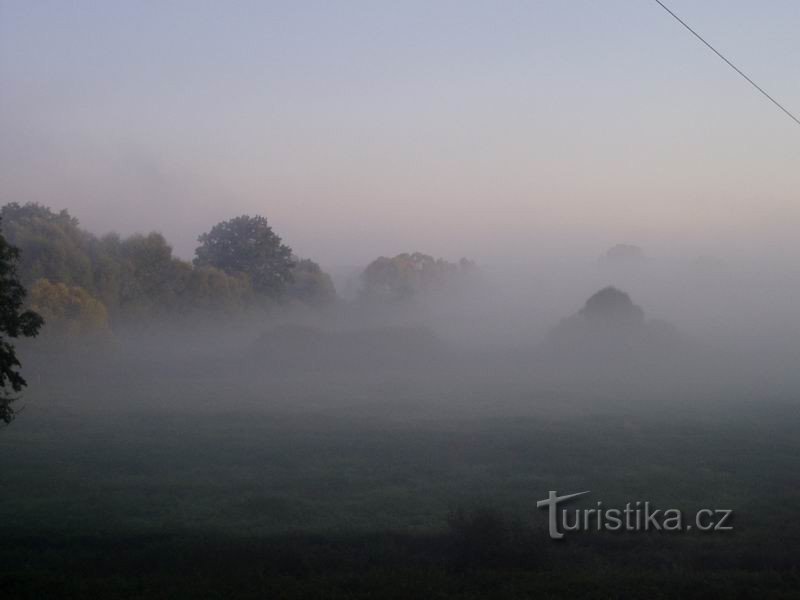 Morning view from Sutý Břeh