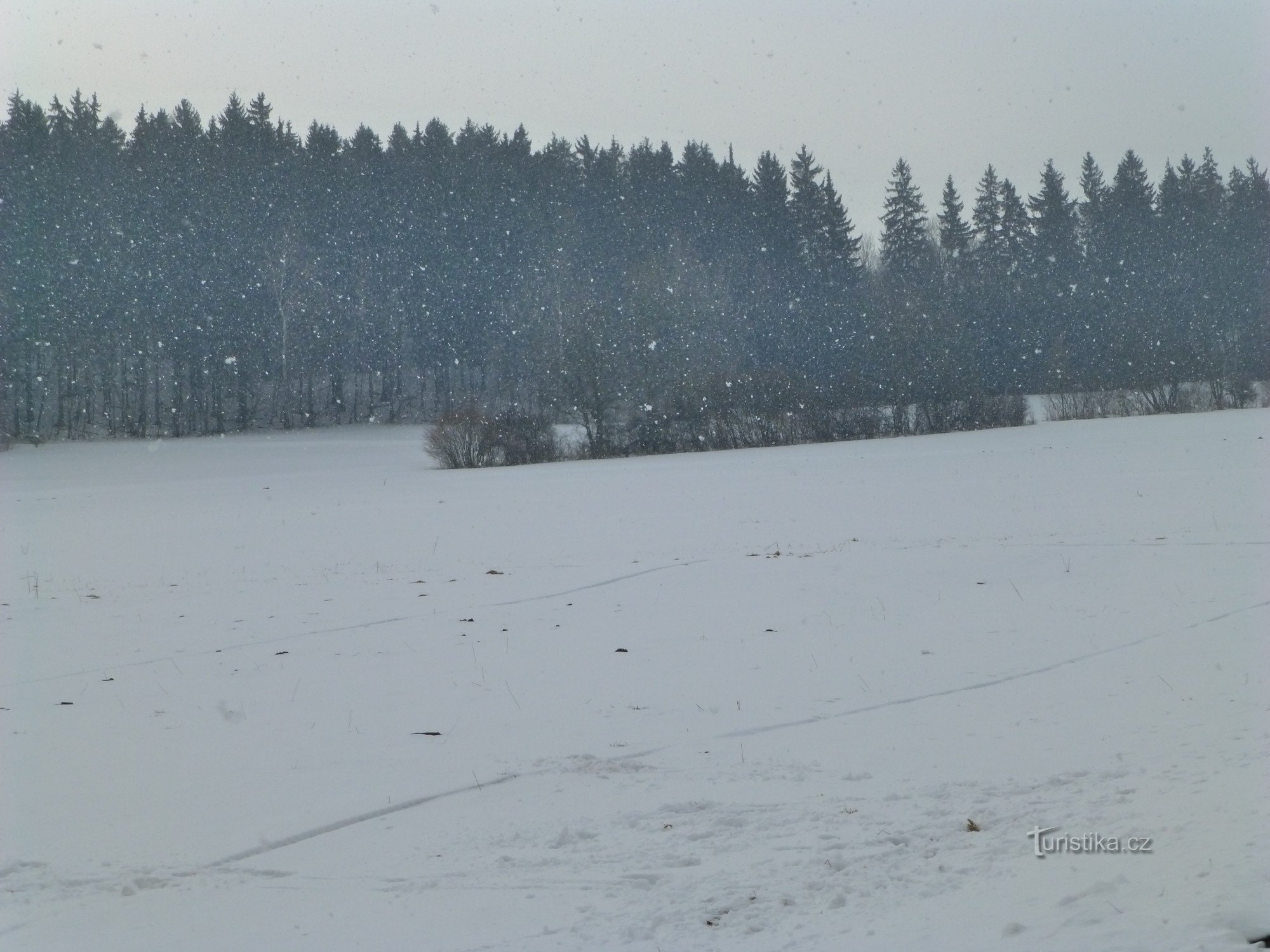 morgendlicher Schneefall in Semile... der Winter ist hier noch nicht vorbei