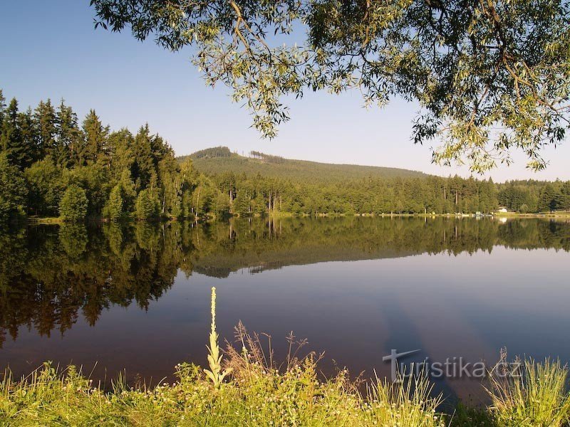 aamulla Milovský rybníkillä