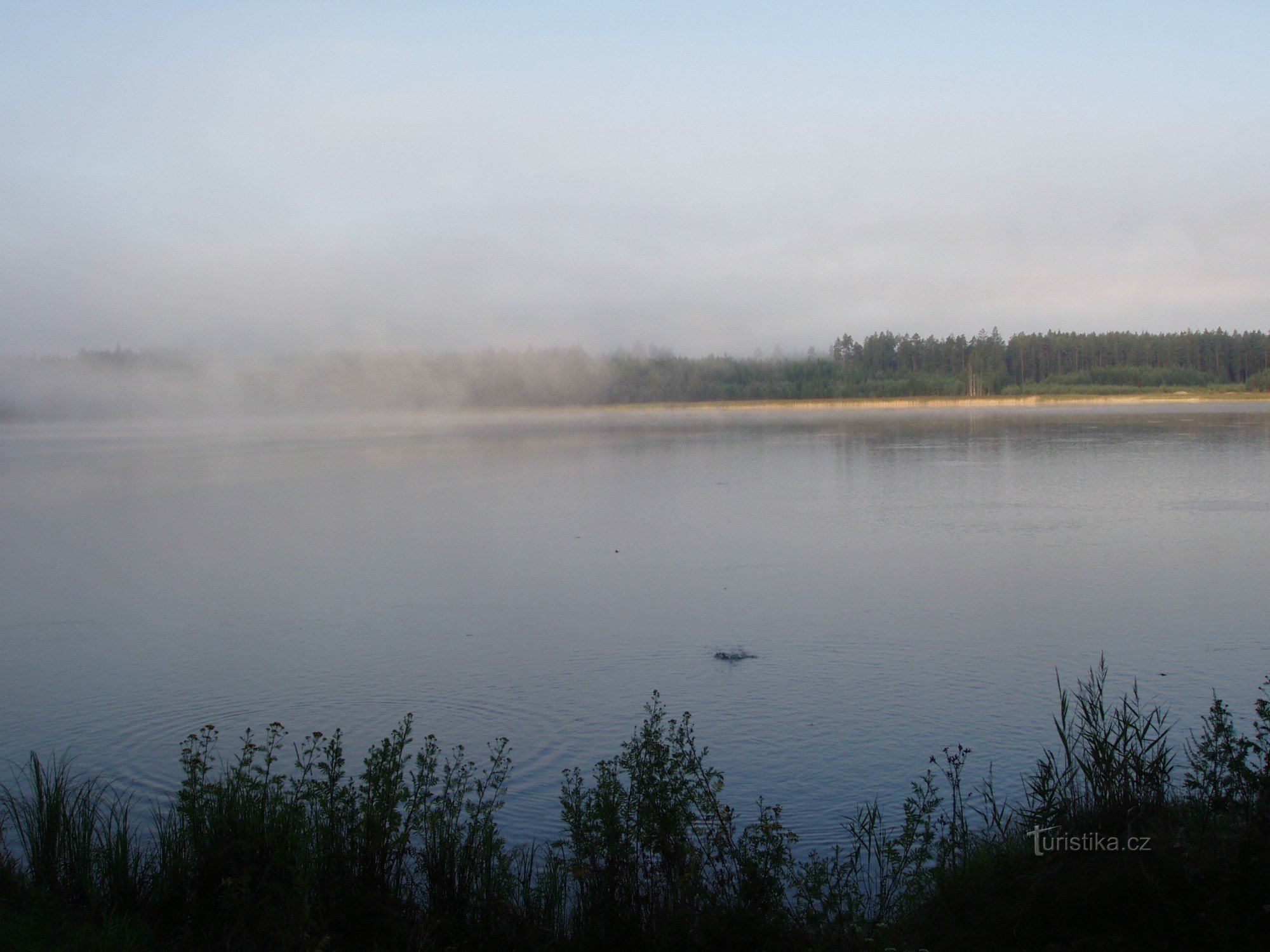 Morgen am Teich Sbobodný