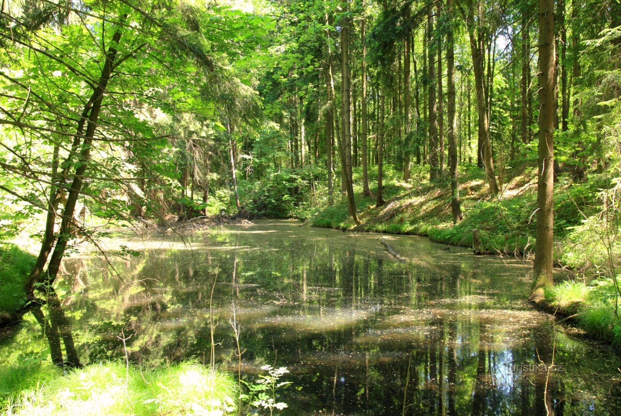 Lacurile Ranska - rezervație naturală