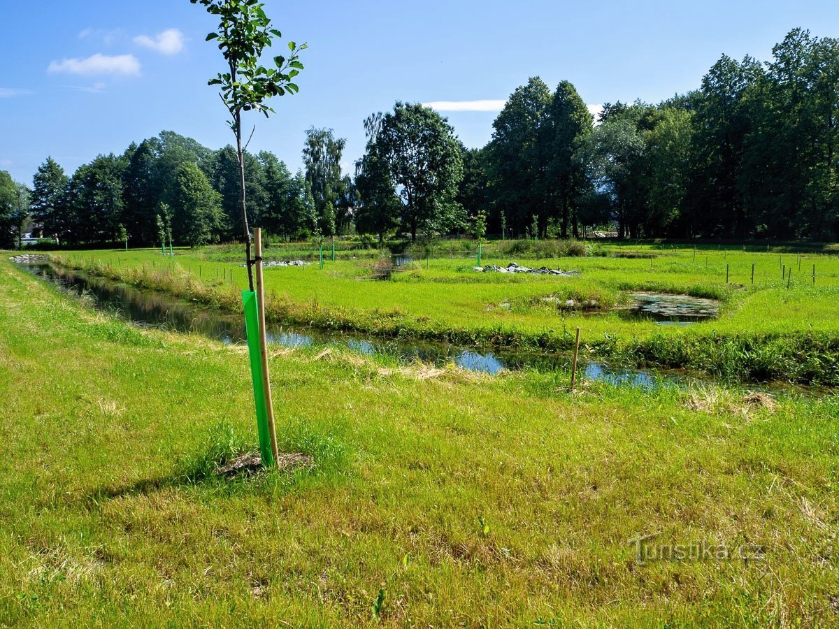 Rapotín park