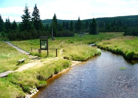 Tourbière de Jizera - réserve naturelle