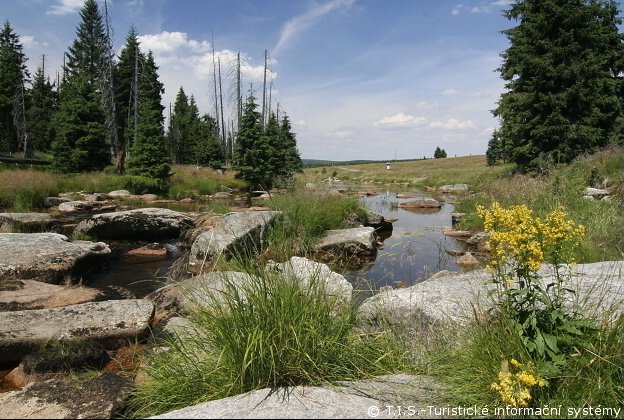 Jizera tørvemose - naturreservat