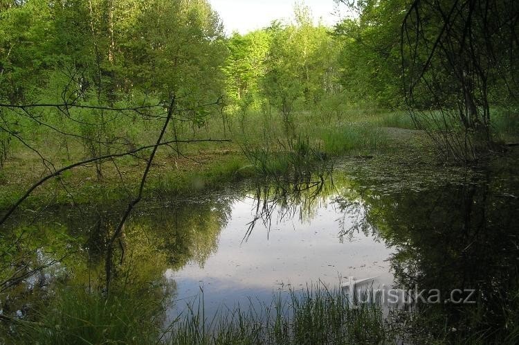 Moor: natürliche Verrostung von Březina