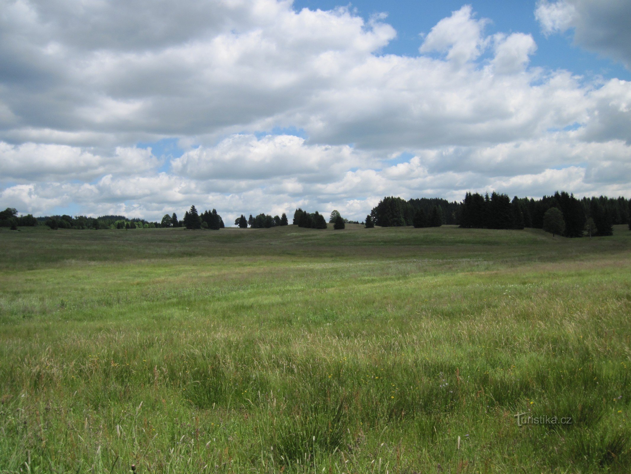 The peat spring of the Pohořský potok