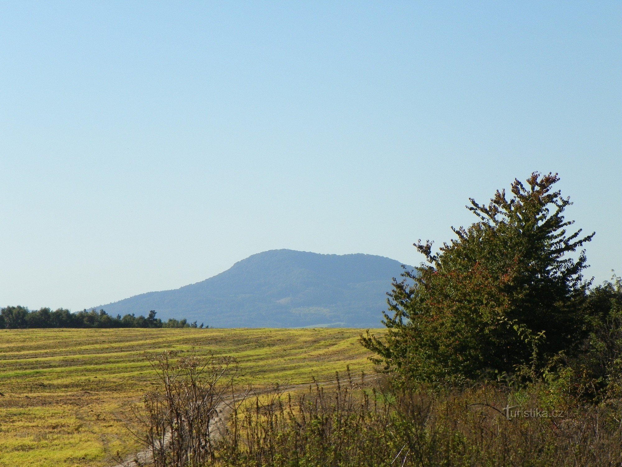 Rašovice - svampplockning