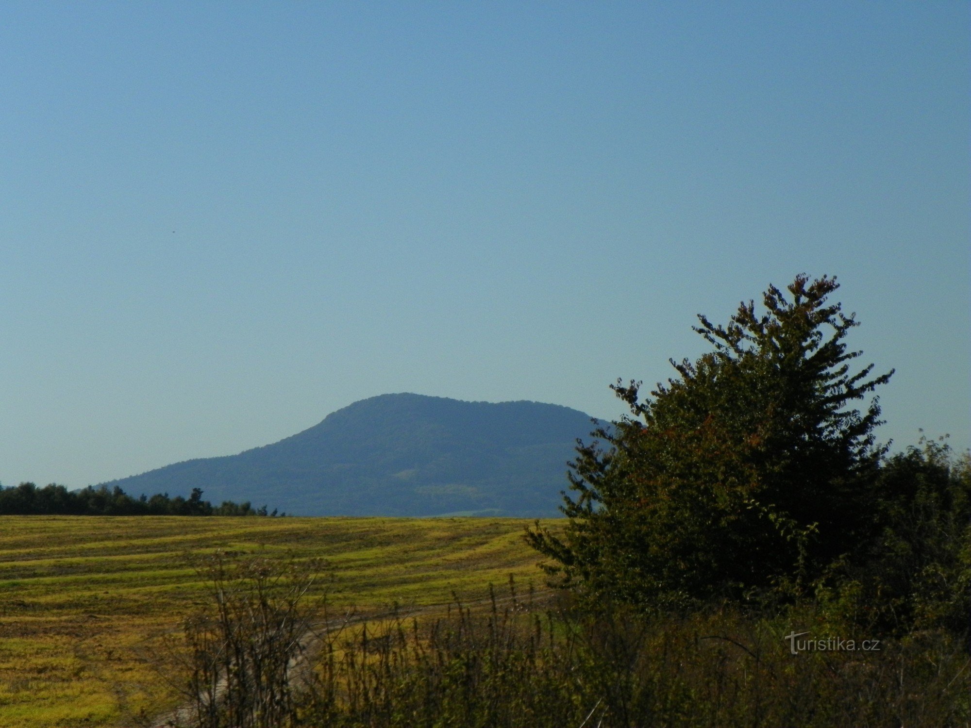 Rašovice - svampeplukning