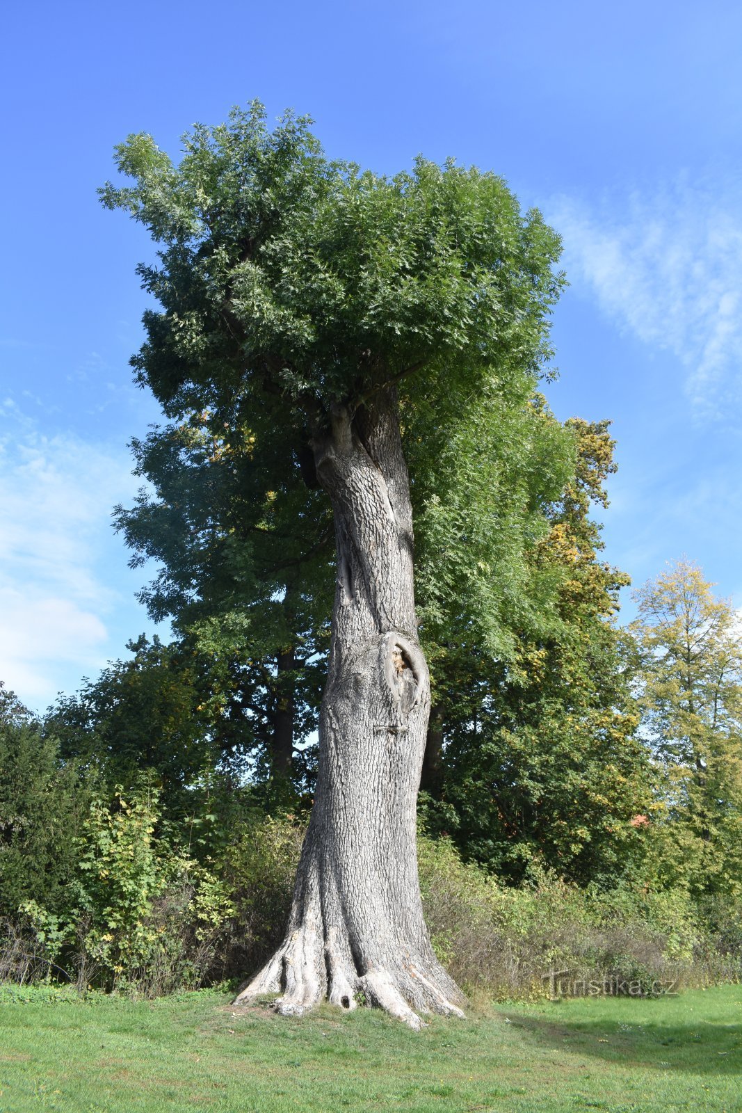 Ratibořice - Dolina Babci