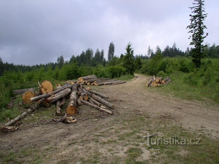 Um vislumbre da paisagem de Láz