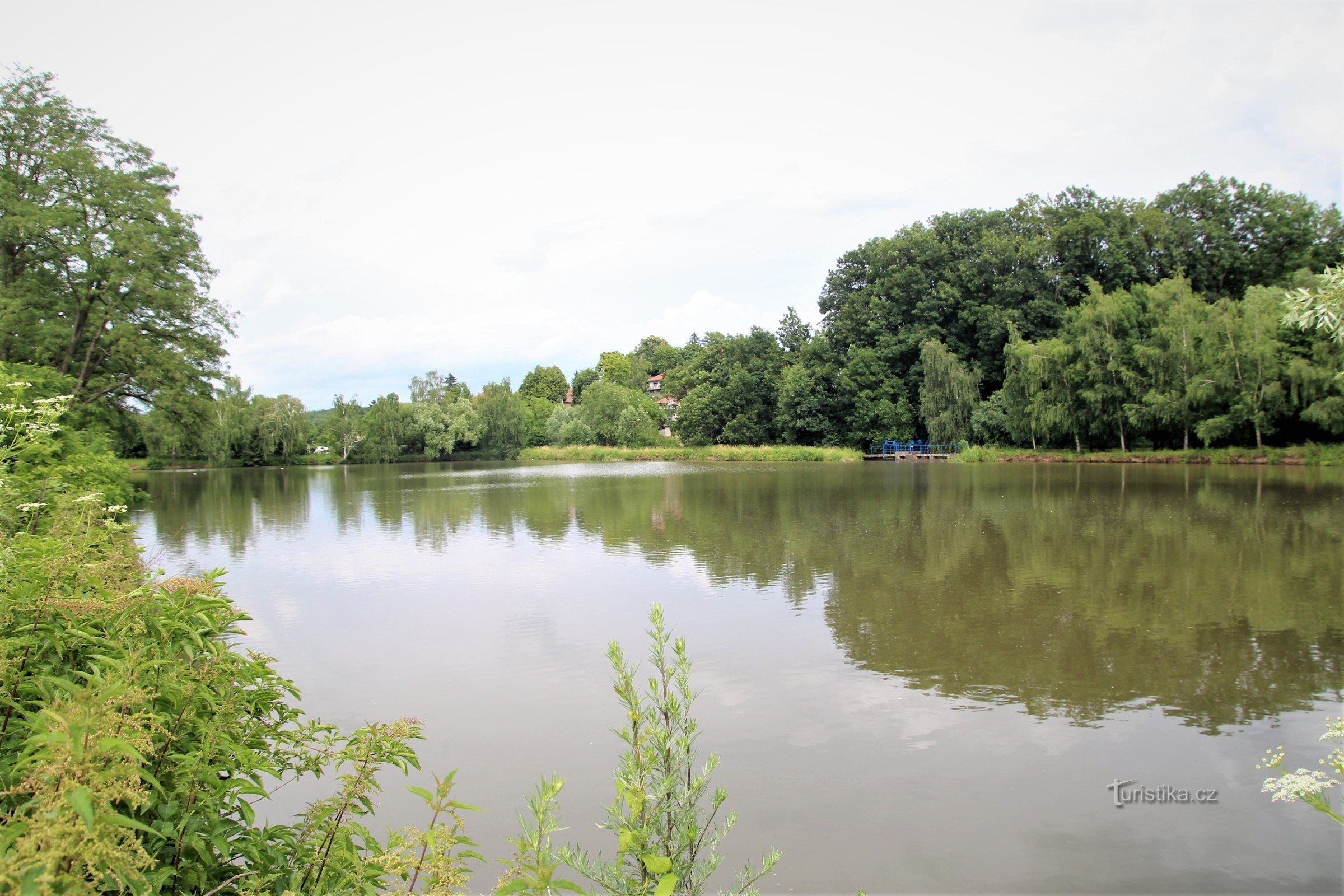 Rebešovice pond