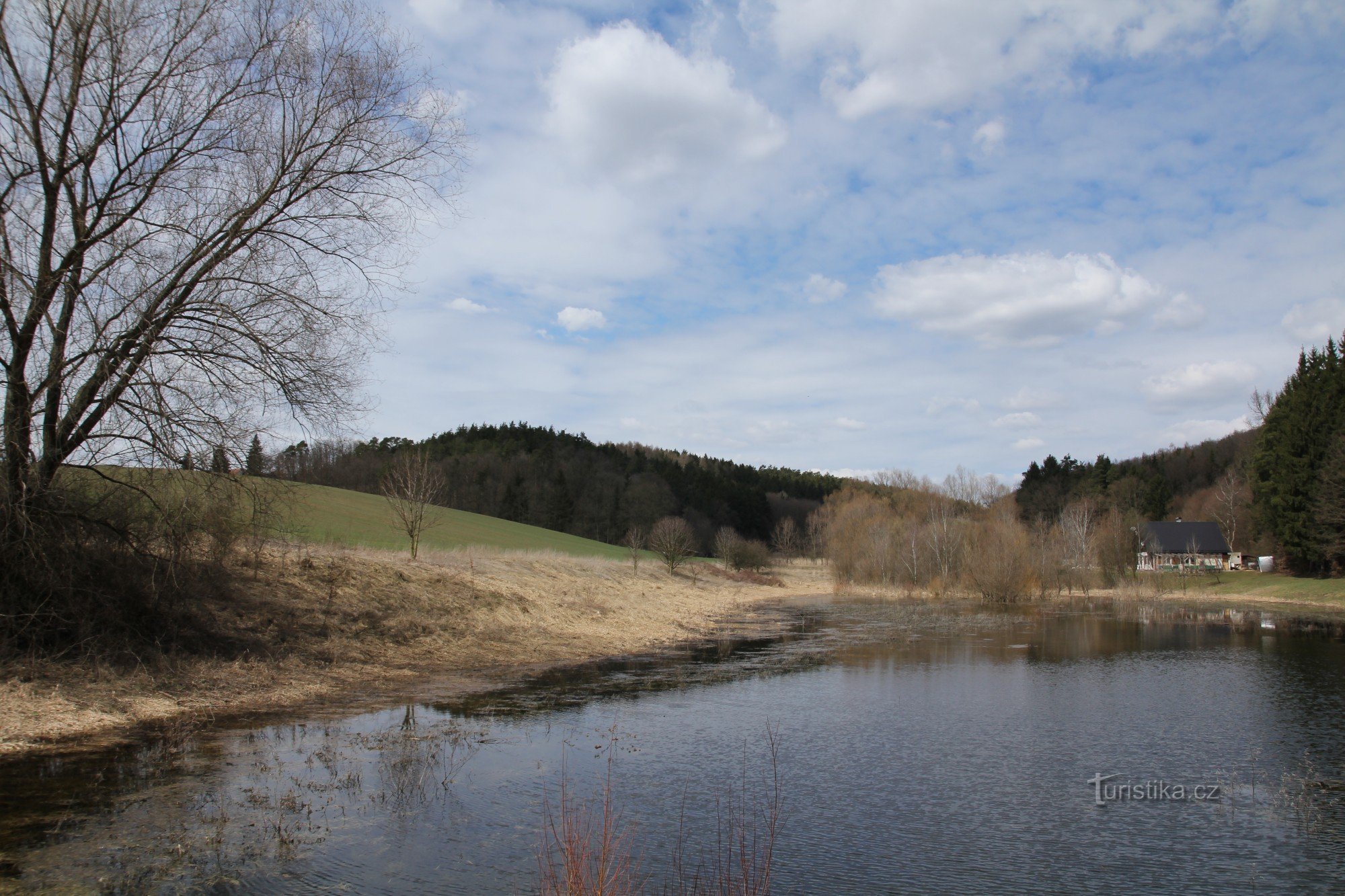 Rebusina na primavera