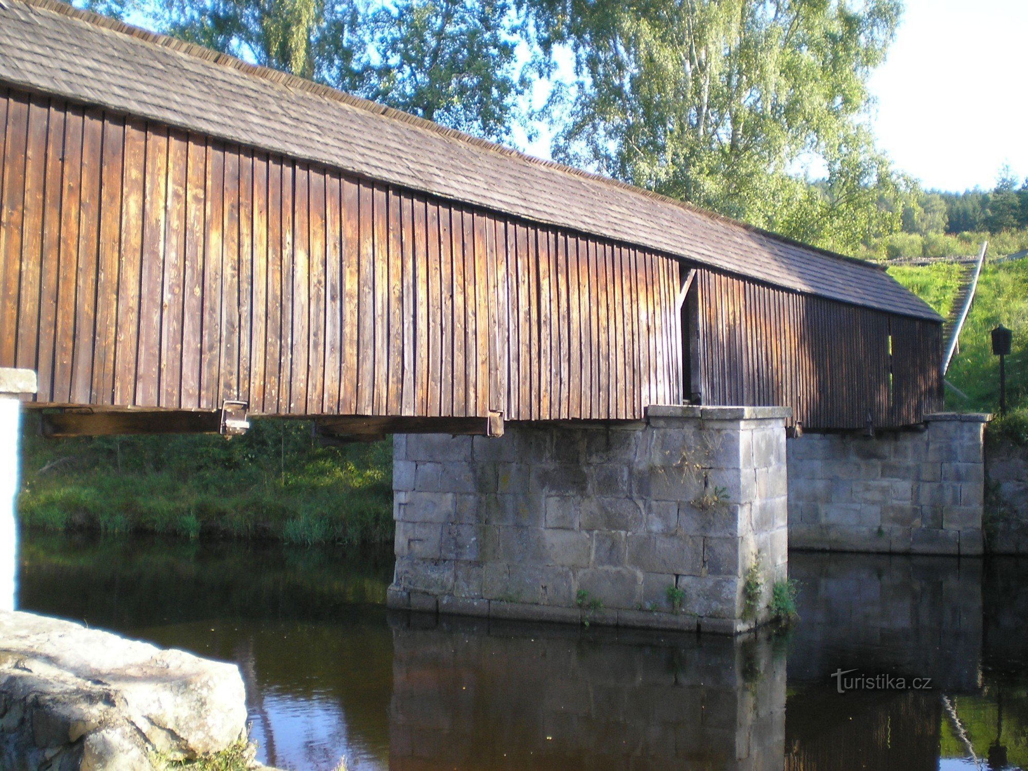 Naja bei Lenora