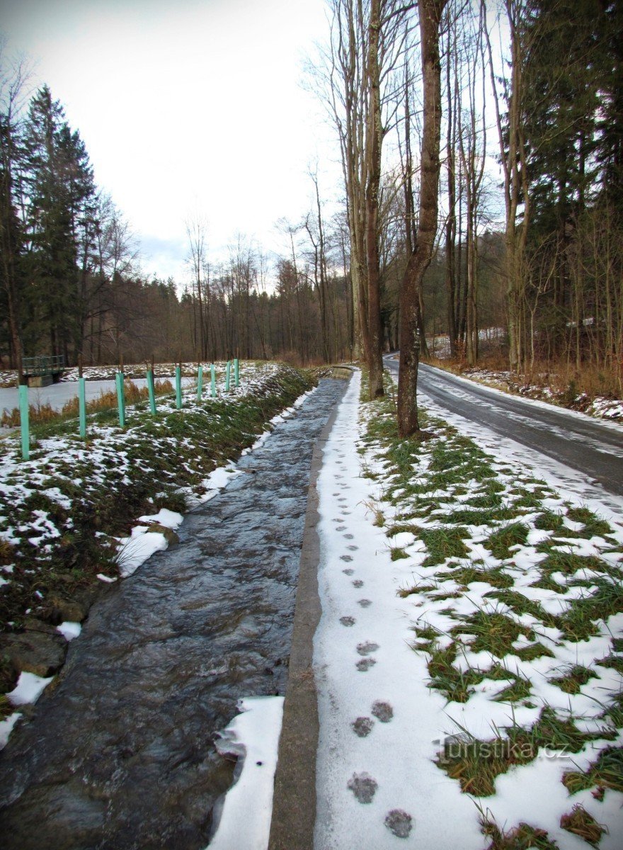 torrente regolamentato Trubiska