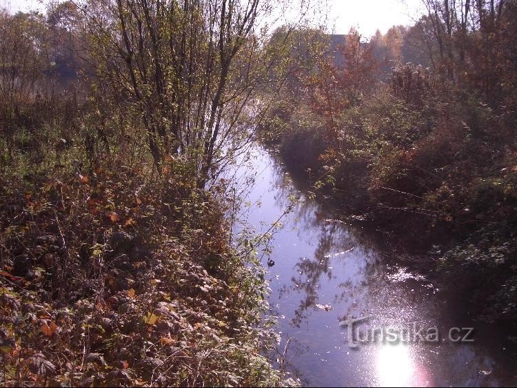 De Řehančák met de valleien mondt uit in de Olešná