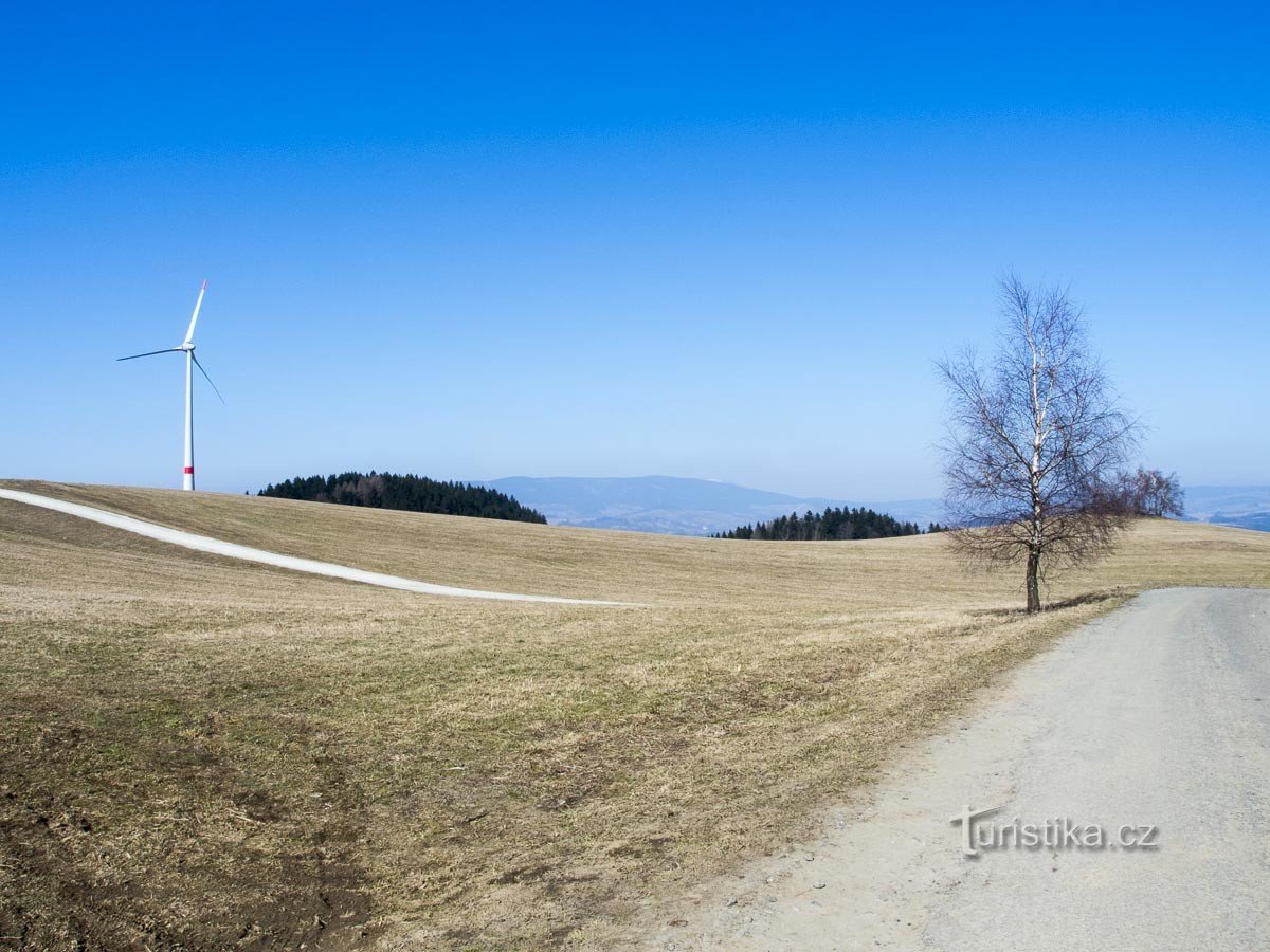 Rejchartické sedlo – Hynčice nad Moravou