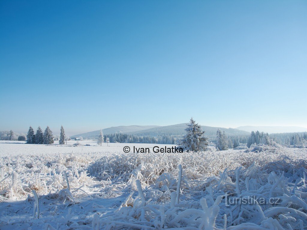 Review of a snowy meadow