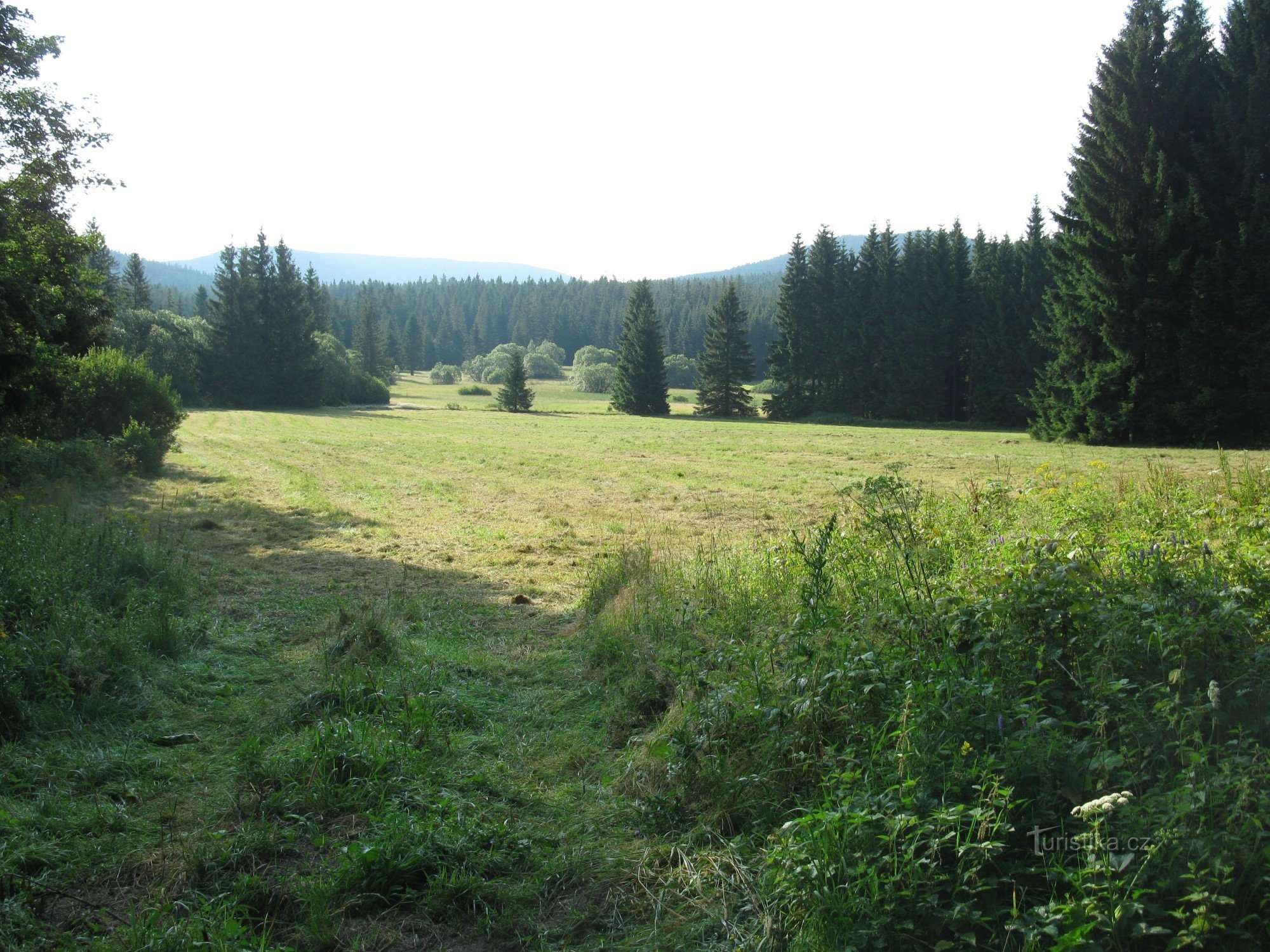 Рейвиз, Золотой хлум, Кржижовый врх